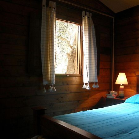 Riviera Degli Eucalipti - Cottage In Riva Al Mare 아치레알레 외부 사진