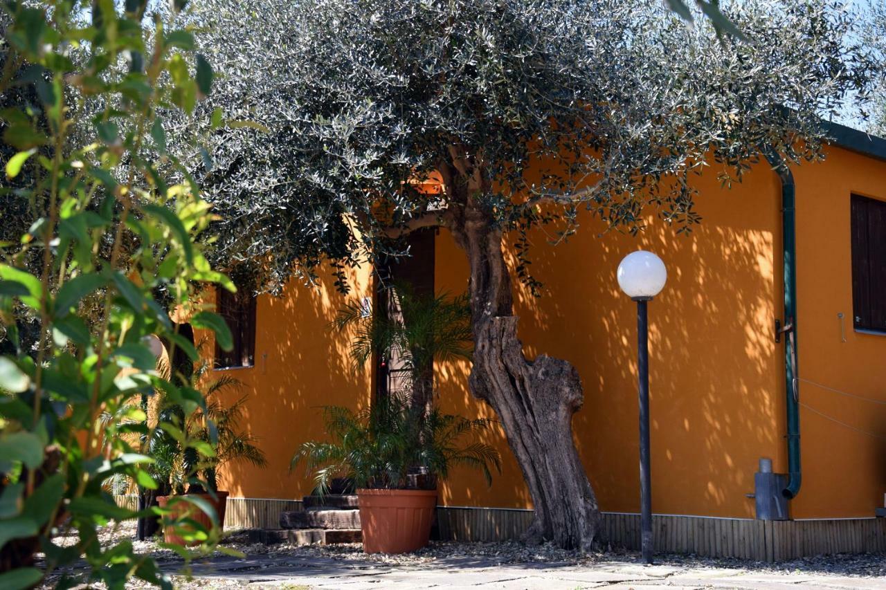 Riviera Degli Eucalipti - Cottage In Riva Al Mare 아치레알레 외부 사진