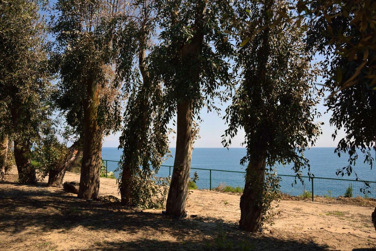 Riviera Degli Eucalipti - Cottage In Riva Al Mare 아치레알레 외부 사진